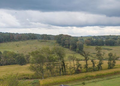 /international/us/ivanhoe-road-lot-0-max-meadows-va-110120001026/