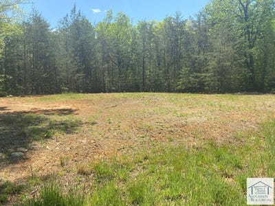 /international/us/timber-run-dr-lot-9-woolwine-va-110098984214/