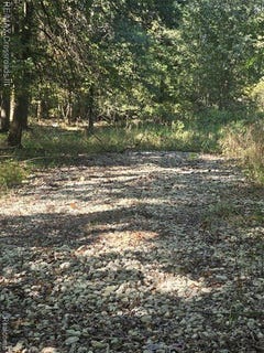/international/us/18800-martinsville-road-sumpter-twp-mi-110120119083/