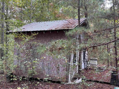 /international/us/cypress-drive-lot-11-acres-gallant-al-110102824248/