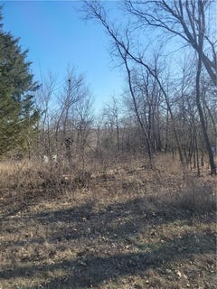 /international/us/98-maple-drive-linn-valley-ks-110119694297/