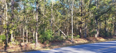 /international/us/409-wade-hampton-road-hampton-sc-110103594165/