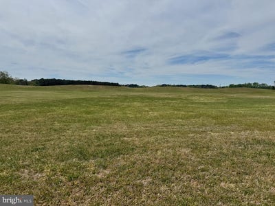 /international/us/lot-88-olde-mill-pointe-ln-new-church-va-110109084358/
