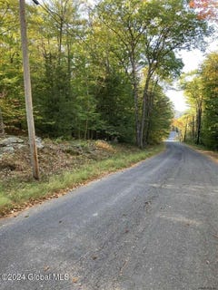 /international/us/l28-hall-hill-road-lake-luzerne-ny-110095908671/?lang=zh-cn