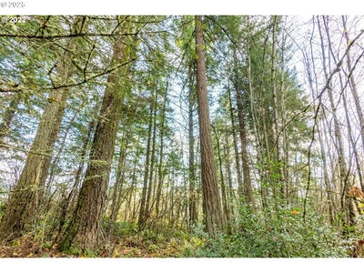 /international/us/24995-w-baseline-rd-hillsboro-or-110104194018/