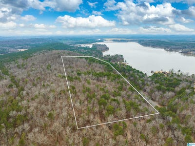 /international/us/34-acres-mtn-constellation-drive-alpine-al-110100987377/