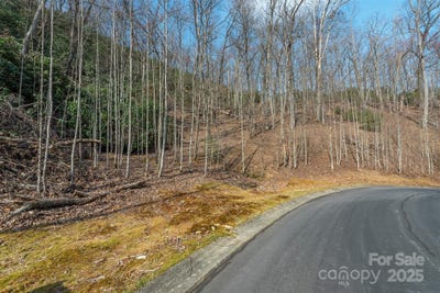 /international/us/0-shining-rock-path-12-horse-shoe-nc-110098782146/