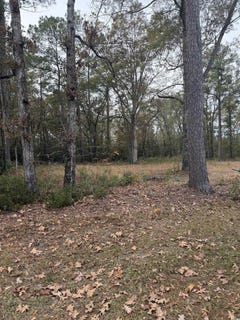 /international/us/335-byrnes-circle-johnsonville-sc-110103673314/