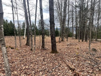 /international/us/m7l67-11-amber-road-rangeley-me-110107763997/
