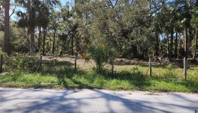/international/us/se-309th-st-cross-city-fl-110095069922/