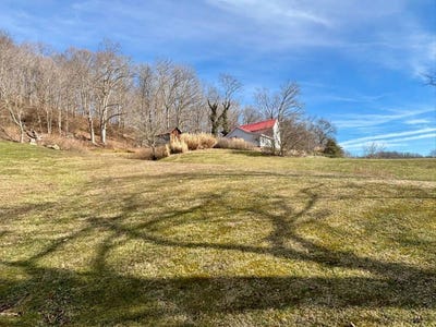 /international/us/2960-parkersburg-road-reedy-wv-110097697236/