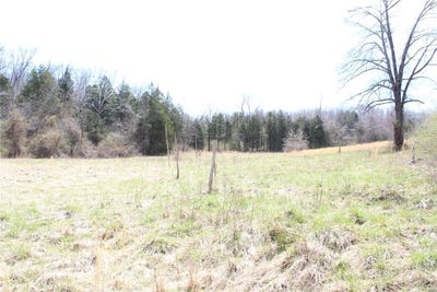 /international/us/12-berryman-cutoff-steelville-mo-110098066980/