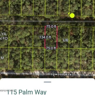 /international/us/115-palm-way-georgetown-fl-110110147429/