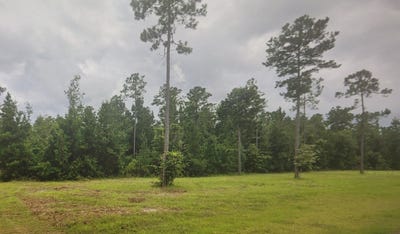 /international/us/cross-country-blvd-marianna-fl-110107082222/