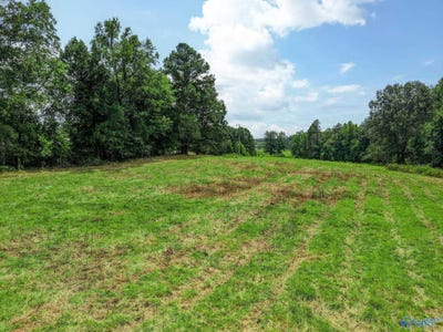 /international/us/10-16-acres-columbus-city-road-grant-al-110110084914/