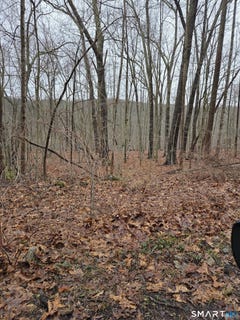 /international/us/165-housatonic-trail-southbury-ct-110106961946/?lang=de