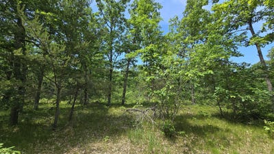/international/us/vl-custer-manistee-mi-110101149563/