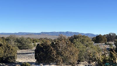 /international/us/49-sweetwater-dr-road-quemado-nm-110104195409/