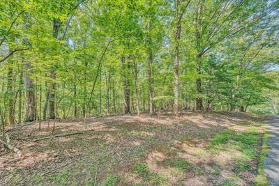 /international/us/lot-24-woodridge-trl-moneta-va-110101179092/