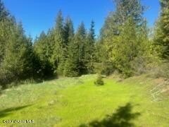 /international/us/balsam-ln-st-maries-id-110106952195/
