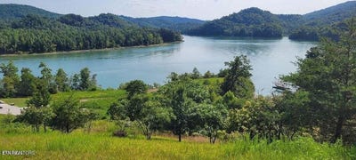 /international/us/longshore-drive-tazewell-tn-110119797263/