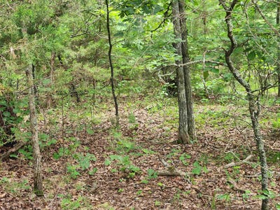 /international/us/l21b1-coyotero-trace-cherokee-village-ar-110100342787/