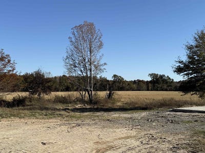 /international/us/2220-duck-levee-biggers-ar-110108197736/