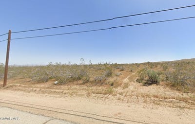 /international/us/ave-v14-pearblossom-ca-110108827145/