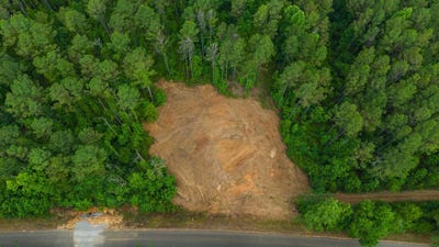/international/us/13-acres-county-road-51-greenesboro-al-110108225033/