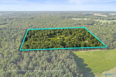 /international/us/1485-county-road-485-lexington-al-110110076752/
