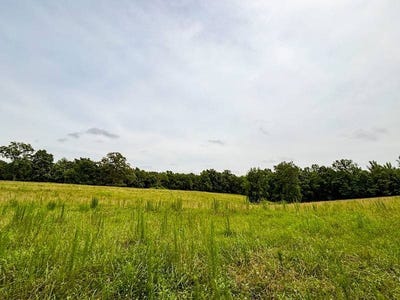 /international/us/496-county-road-496-lexington-al-110100898870/