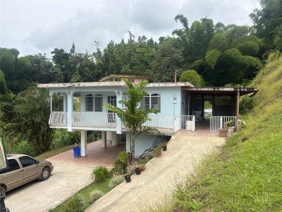 /international/us/156-bo-mulas-aguas-buenas-pr-110100410906/