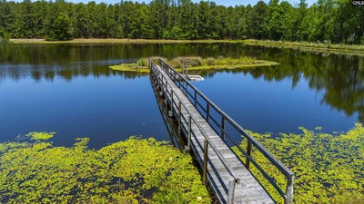 /international/us/4624-augusta-highway-gilbert-sc-110108209264/