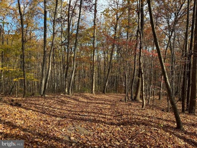 /international/us/woodlands-drive-flint-hill-va-110095837410/