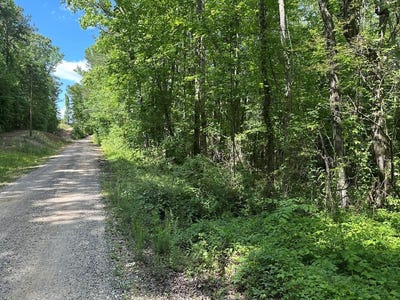 /international/us/county-road-59-heflin-al-110107840713/