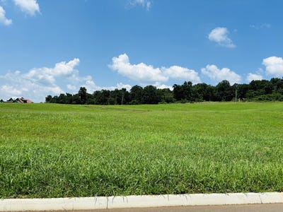 /international/us/lot-79-meadow-vista-way-white-pine-tn-110093777127/?lang=zh-cn