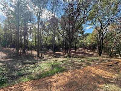 /international/us/232-co-rd-1123-vinemont-al-110103232611/
