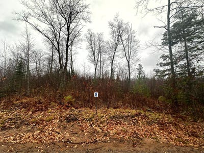 /international/us/lot-8-cth-b-land-o-lakes-wi-110095565697/