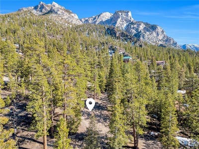 /international/us/5215-whispering-deer-drive-mount-charleston-nv-110091675062/