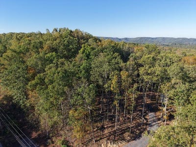 /international/us/1228-flat-top-road-shady-spring-wv-110102619390/