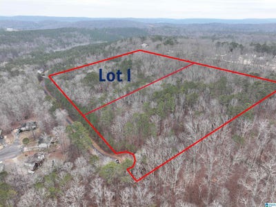 /international/us/henderson-road-lot-1-odenville-al-110100703297/