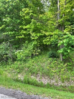 /international/us/333-river-road-hinckley-oh-110092334077/