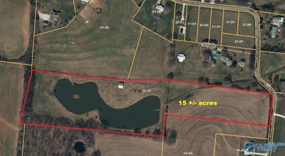 /international/us/15-acres-slaughter-pen-road-ardmore-tn-110106677620/