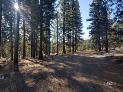 /international/us/105-acres-off-county-rd-133c-davis-creek-ca-110108123689/