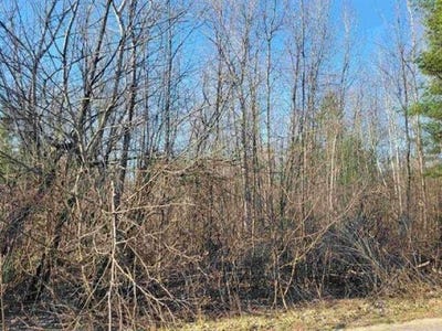 /international/us/0-50-ac-maple-street-gladwin-mi-110107666533/