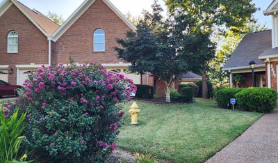 /international/us/2415-royal-fern-trail-chattanooga-tn-110098352321/