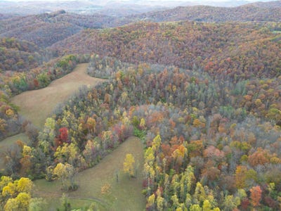 /international/us/0-tbd-painters-fork-frametown-wv-110103406447/