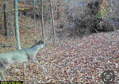 /international/us/1850-toler-creek-road-harold-ky-110101450116/?lang=zh-tw