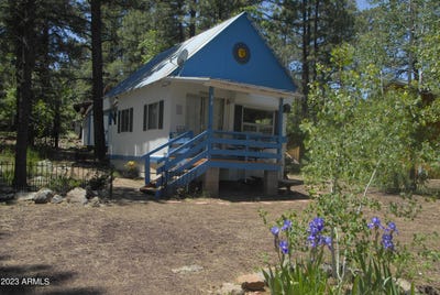 /international/us/98-aspen-drive-mormon-lake-az-110101306962/