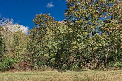 /international/us/v-l-schady-road-olmsted-twp-oh-110108331003/